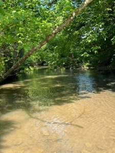 144 Unrestricted Acres In Kyles Ford, Tennessee - image 29
