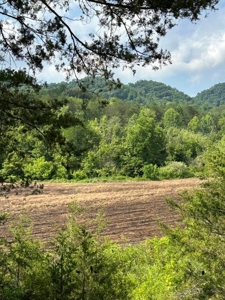 144 Unrestricted Acres In Kyles Ford, Tennessee - image 5