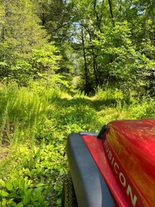 144 Unrestricted Acres In Kyles Ford, Tennessee - image 33