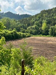 144 Unrestricted Acres In Kyles Ford, Tennessee - image 10