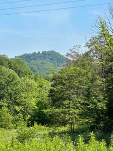 144 Unrestricted Acres In Kyles Ford, Tennessee - image 36