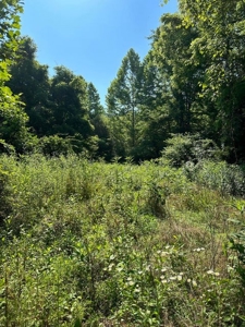 20 Unrestricted Acres in Kyles Ford, Tennessee - image 2