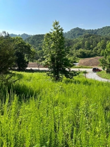 20 Unrestricted Acres in Kyles Ford, Tennessee - image 24