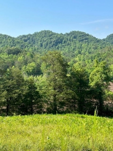 20 Unrestricted Acres in Kyles Ford, Tennessee - image 6