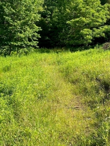 20 Unrestricted Acres in Kyles Ford, Tennessee - image 5