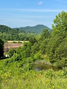20 Unrestricted Acres in Kyles Ford, Tennessee - image 4