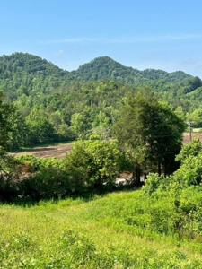 20 Unrestricted Acres in Kyles Ford, Tennessee - image 7