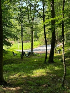 20 Unrestricted Acres in Kyles Ford, Tennessee - image 18