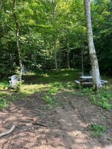 20 Unrestricted Acres in Kyles Ford, Tennessee - image 21
