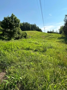 20 Unrestricted Acres in Kyles Ford, Tennessee - image 12