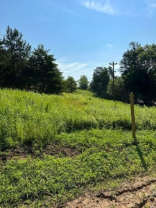 20 Unrestricted Acres in Kyles Ford, Tennessee - image 27