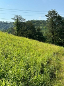 20 Unrestricted Acres in Kyles Ford, Tennessee - image 8