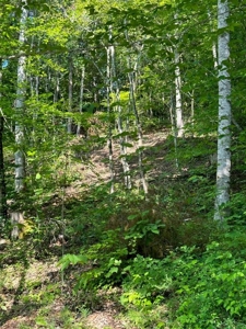 20 Unrestricted Acres in Kyles Ford, Tennessee - image 19