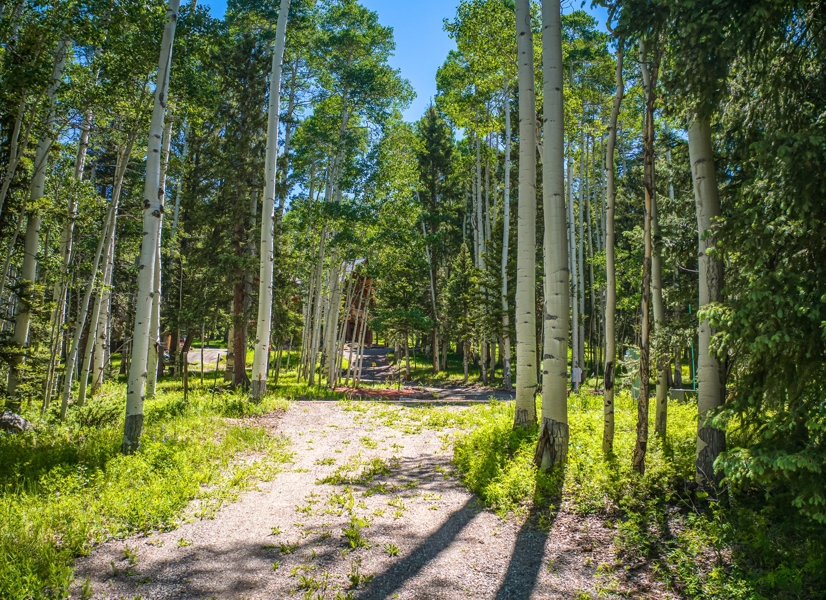 355 Ponderosa Property for Sale
