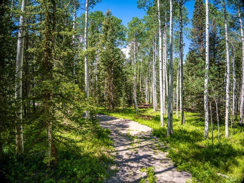 355 Ponderosa Property for Sale