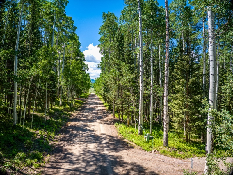355 Ponderosa Property for Sale