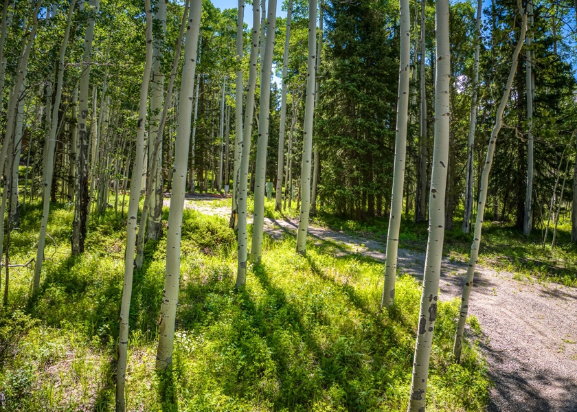 355 Ponderosa Property for Sale