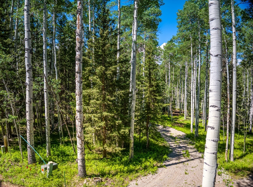 355 Ponderosa Property for Sale