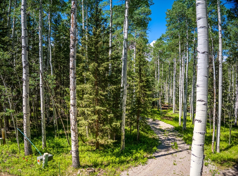 355 Ponderosa Property for Sale