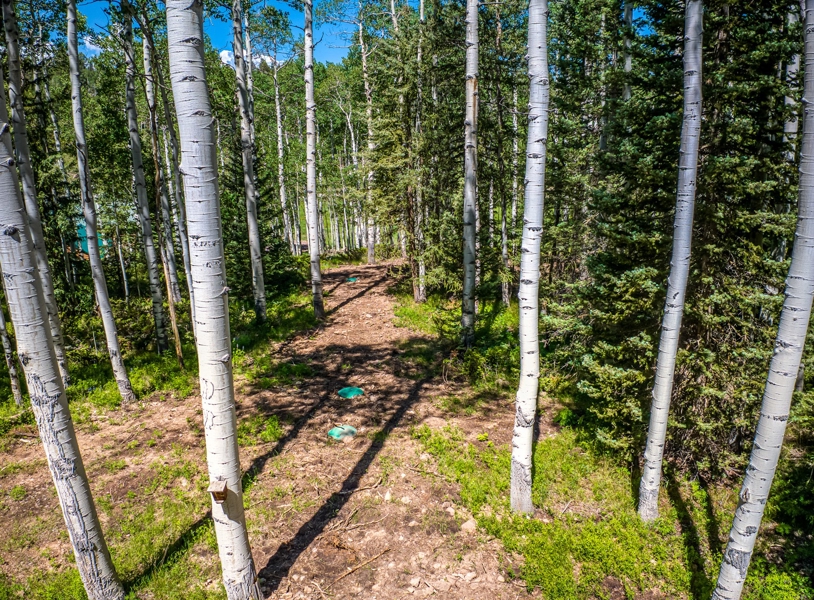 355 Ponderosa Property for Sale
