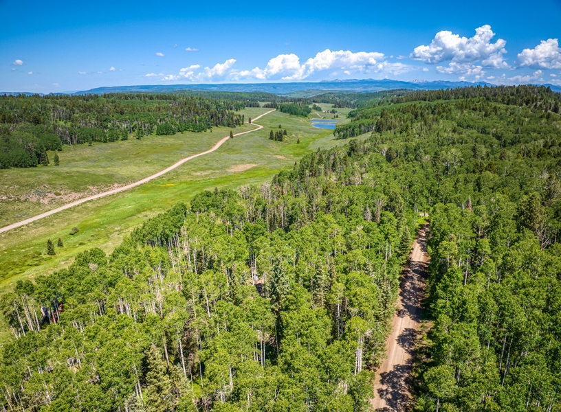 355 Ponderosa Property for Sale