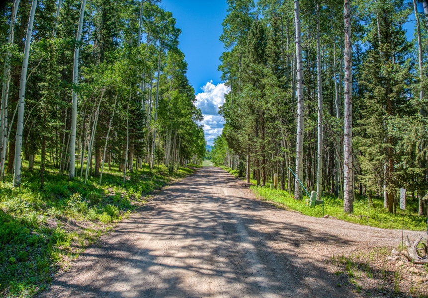 355 Ponderosa Property for Sale