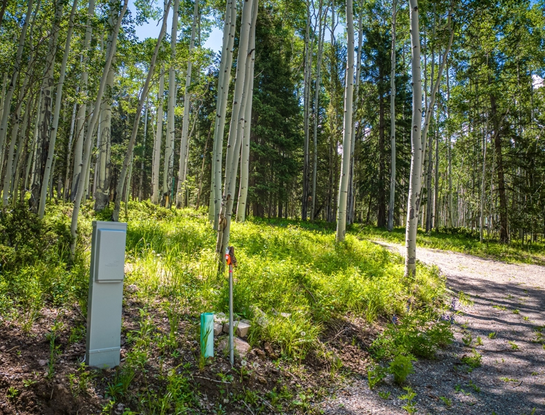 355 Ponderosa Property for Sale