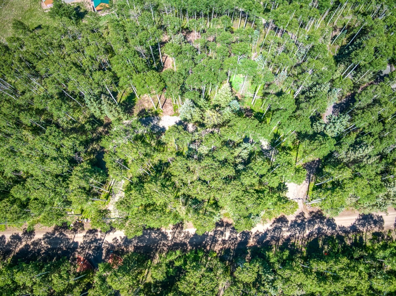 355 Ponderosa Property for Sale