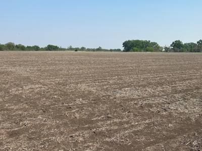 Nebraska Farm and Hunting Land For Sale - image 4