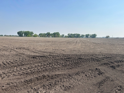 Nebraska Farm and Hunting Land For Sale - image 3
