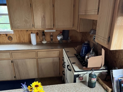 Ridgway Mountain Acreage Off-Grid Water Colorado Good Access - image 15