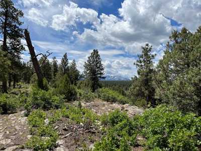 Ridgway Mountain Acreage Off-Grid Water Colorado Good Access - image 6
