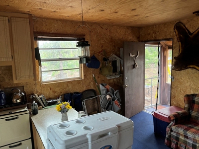 Ridgway Mountain Acreage Off-Grid Water Colorado Good Access - image 19