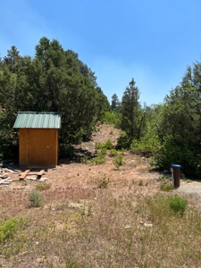 Ridgway Mountain Acreage Off-Grid Water Colorado Good Access - image 7