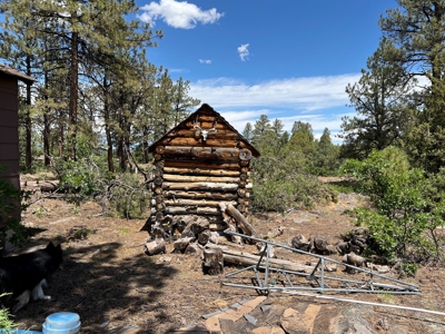 Ridgway Mountain Acreage Off-Grid Water Colorado Good Access - image 9