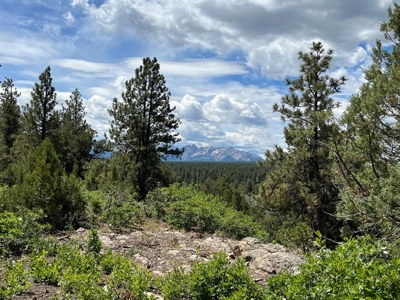 Ridgway Mountain Acreage Off-Grid Water Colorado Good Access - image 2