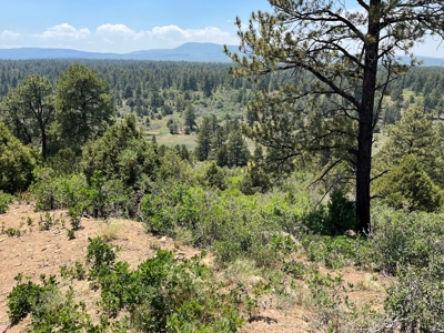 Ridgway Mountain Acreage Off-Grid Water Colorado Good Access - image 5