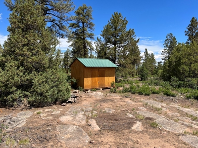 Ridgway Mountain Acreage Off-Grid Water Colorado Good Access - image 10