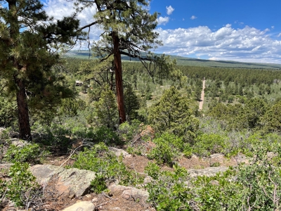 Ridgway Mountain Acreage Off-Grid Water Colorado Good Access - image 14