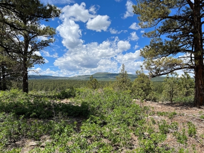 Ridgway Mountain Acreage Off-Grid Water Colorado Good Access - image 11