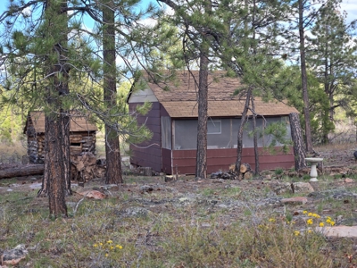 Ridgway Mountain Acreage Off-Grid Water Colorado Good Access - image 1