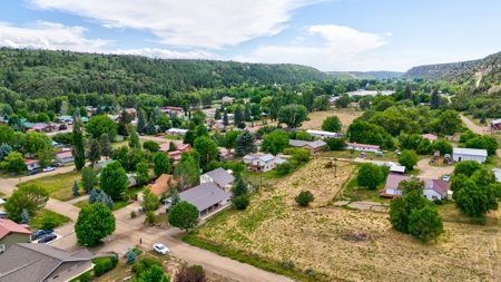 Stunning Country Home For Sale in Dolores, CO - image 9