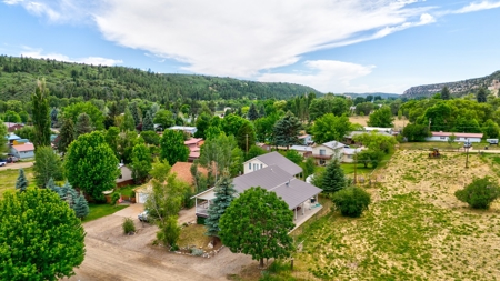 Stunning Country Home For Sale in Dolores, CO - image 4