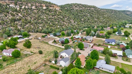 Stunning Country Home For Sale in Dolores, CO - image 6