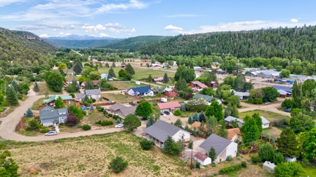 Stunning Country Home For Sale in Dolores, CO - image 8