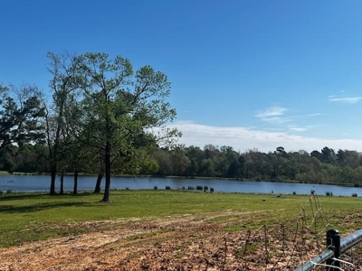 Equine Ranch in Daingerfield Texas For Sale - image 32