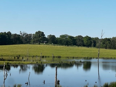 Equine Ranch in Daingerfield Texas For Sale - image 16