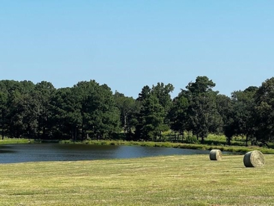 Equine Ranch in Daingerfield Texas For Sale - image 27