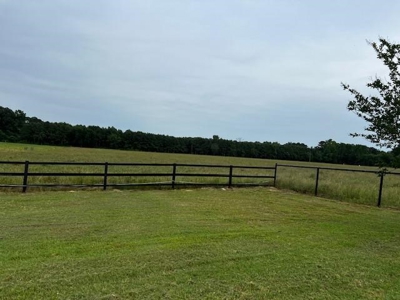 Equine Ranch in Daingerfield Texas For Sale - image 17