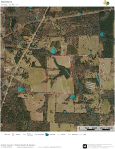 Equine Ranch in Daingerfield Texas For Sale - image 1
